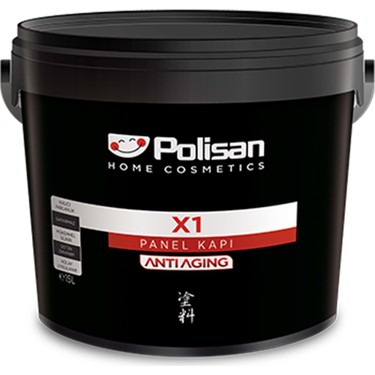 X1 PANEL KAPI BOYASI 2,5L